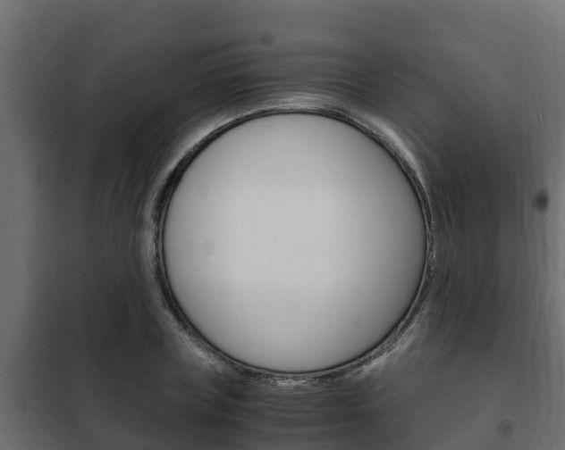 X0000102470835200808081008