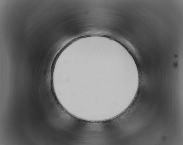 X0000102470836200808081008