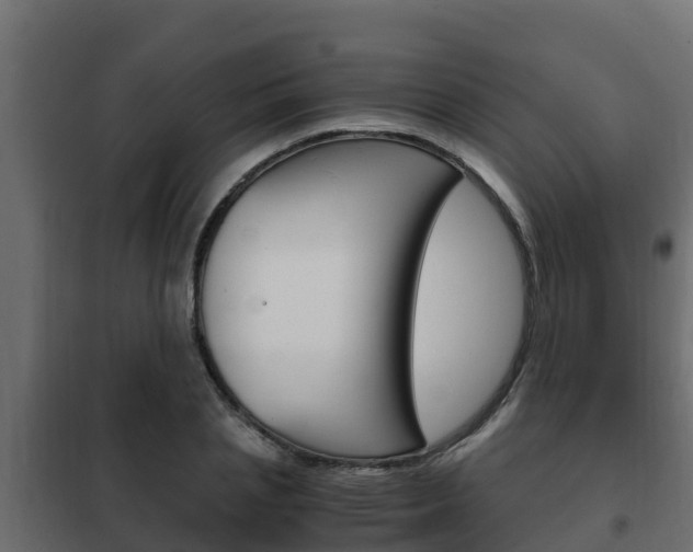 X0000102470837200808081008