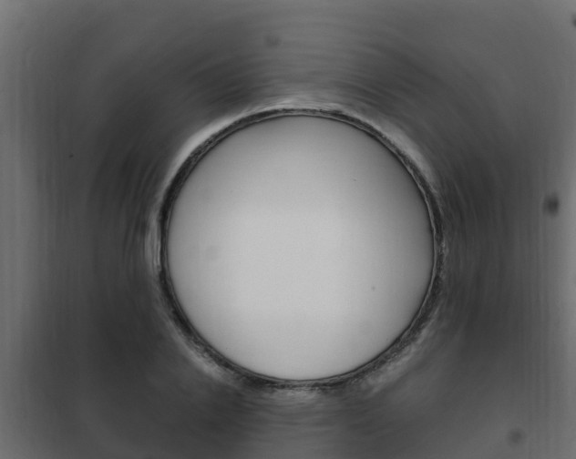 X0000102470838200808081008