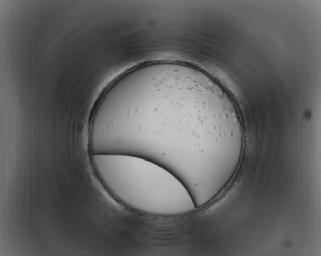 X0000102470839200808081008