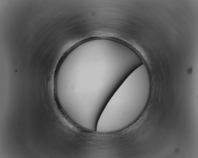 X0000102470840200808081008