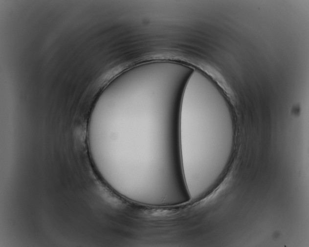 X0000102470841200808081008