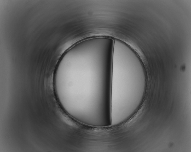 X0000102470842200808081008