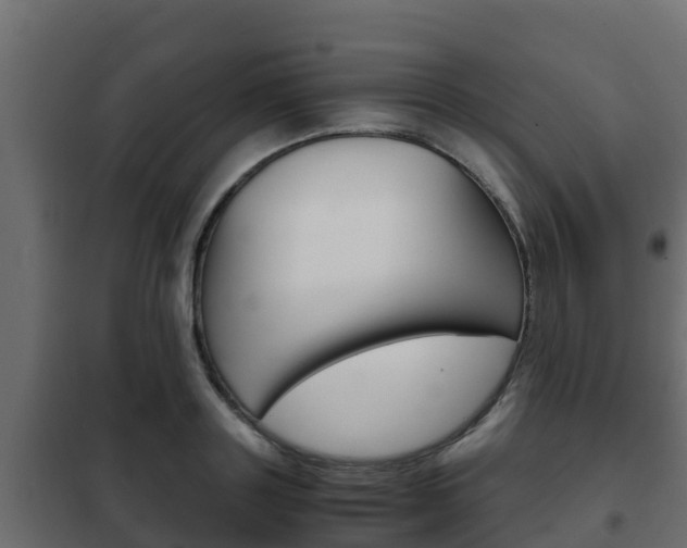 X0000102470843200808081008