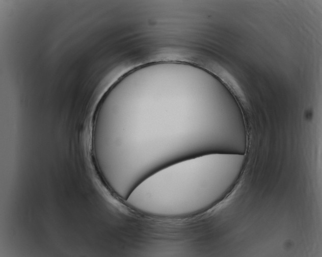 X0000102470844200808081008