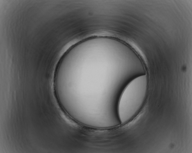 X0000102470845200808081008
