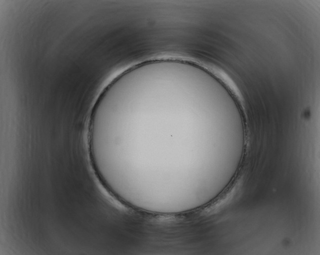 X0000102470847200808081008