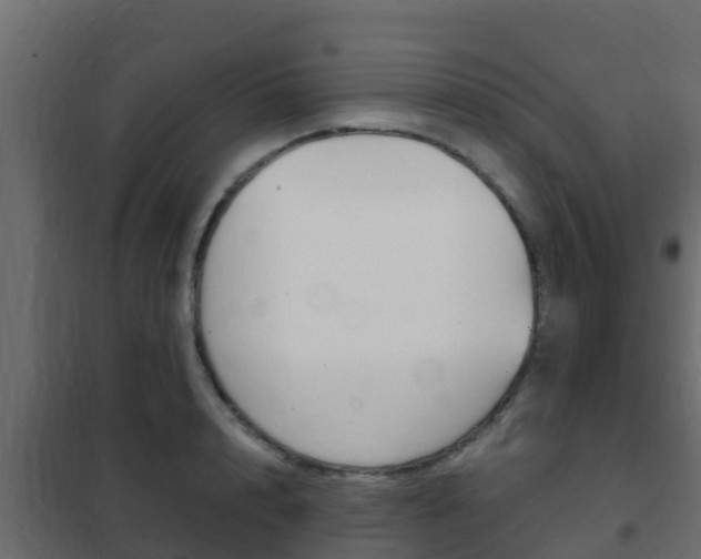 X0000102470848200808081008