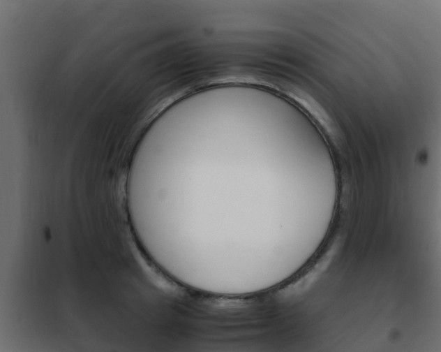 X0000102470849200808081008