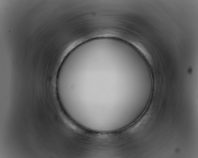 X0000102470850200808081008