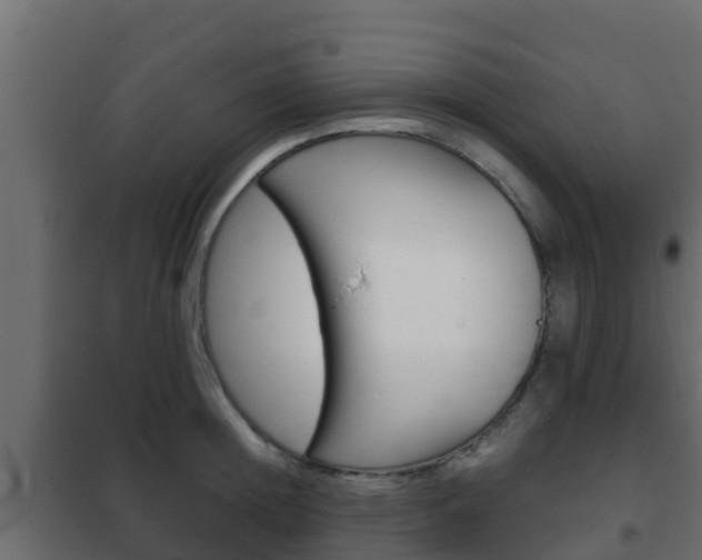 X0000102470852200808081008