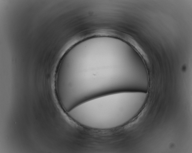 X0000102470853200808081008