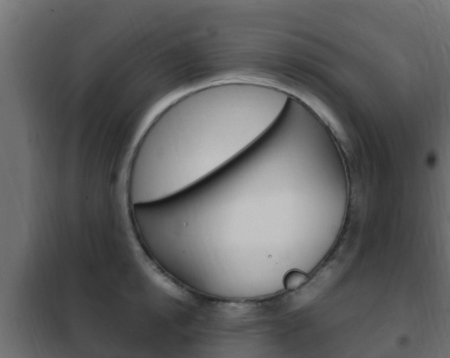 X0000102470854200808081008
