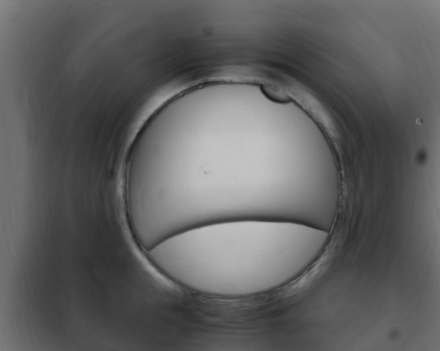 X0000102470855200808081008