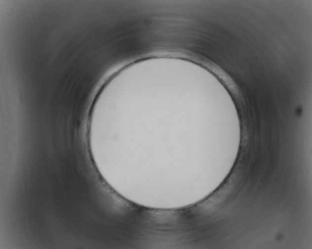 X0000102470856200808081008