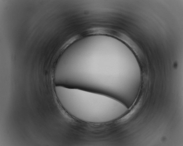 X0000102470857200808081008