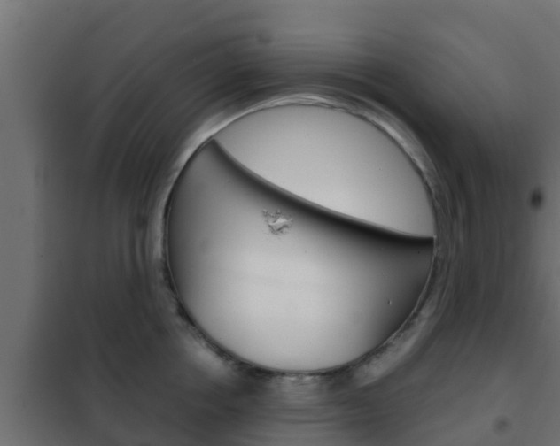X0000102470858200808081008