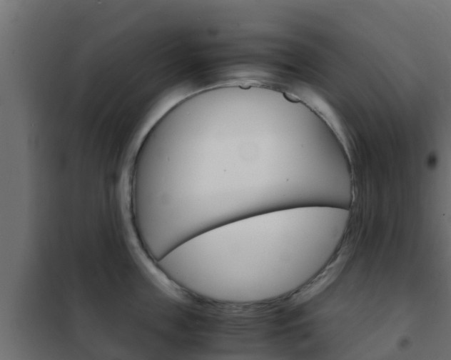 X0000102470859200808081008