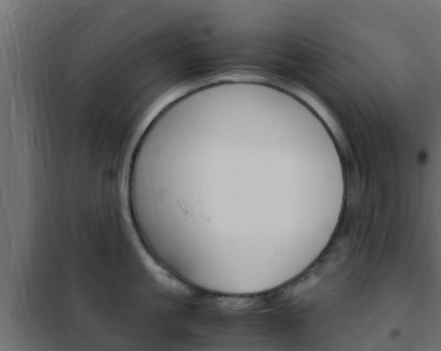 X0000102470861200808081008