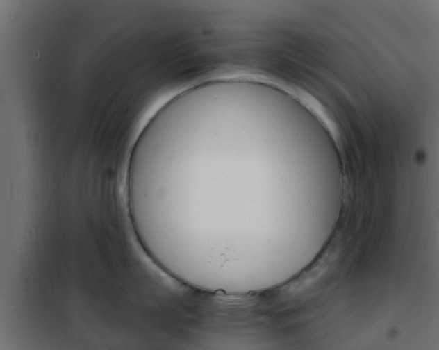 X0000102470863200808081008