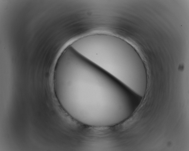 X0000102470864200808081008
