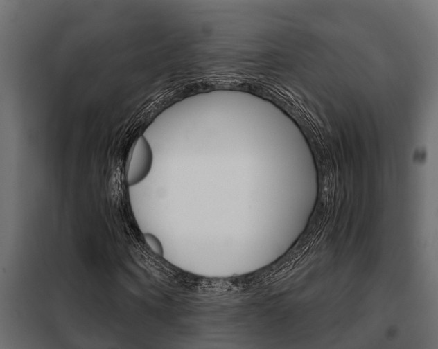 X0000102470866200808081007