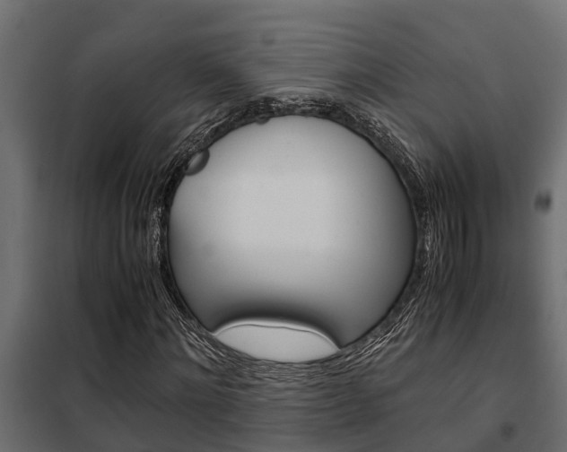 X0000102470868200808081007