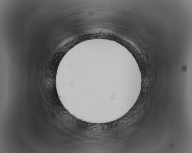 X0000102470869200808081007