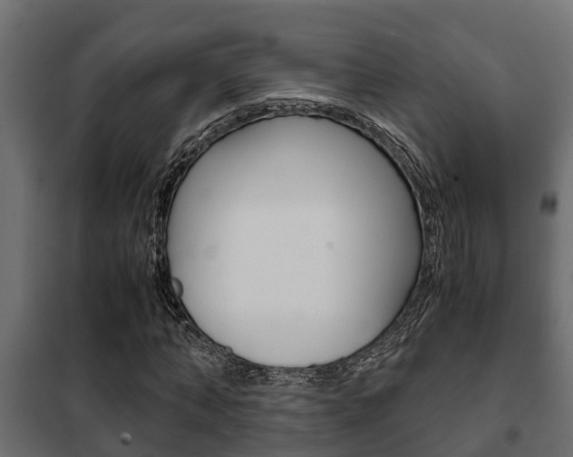 X0000102470870200808081007