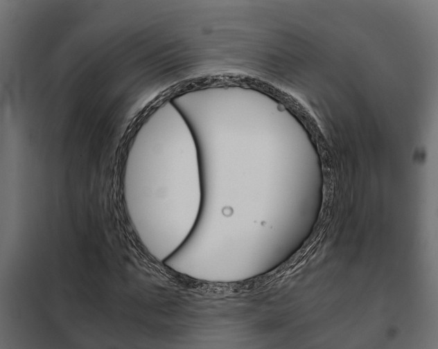 X0000102470871200808081007