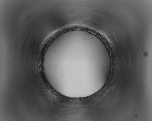 X0000102470872200808081007