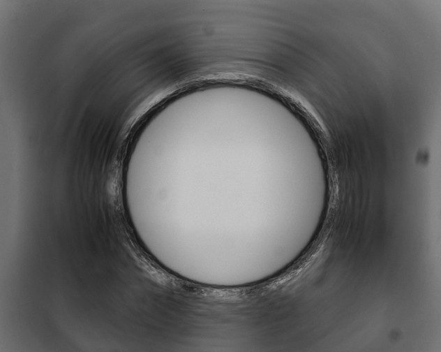 X0000102470874200808081007