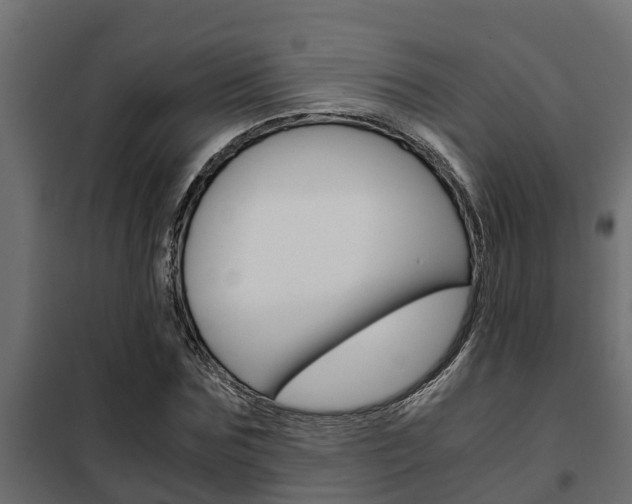 X0000102470875200808081007