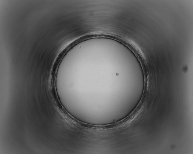 X0000102470876200808081007
