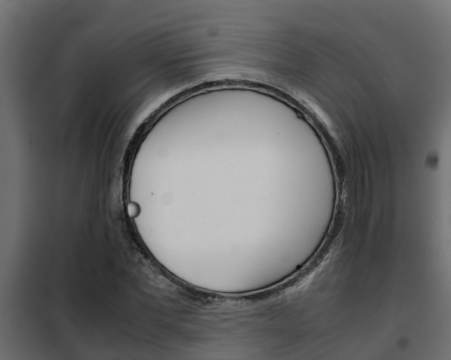 X0000102470877200808081007