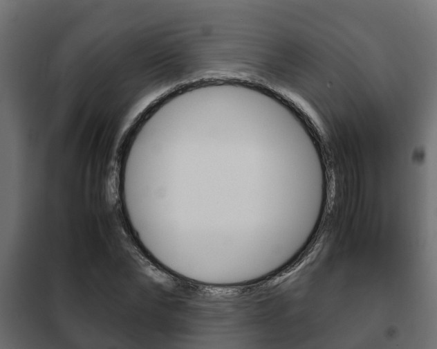 X0000102470878200808081007