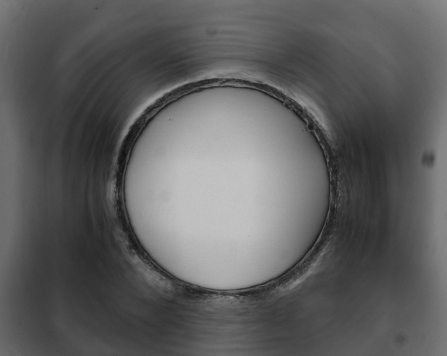 X0000102470880200808081007