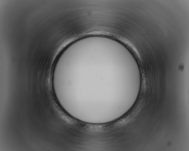 X0000102470882200808081007
