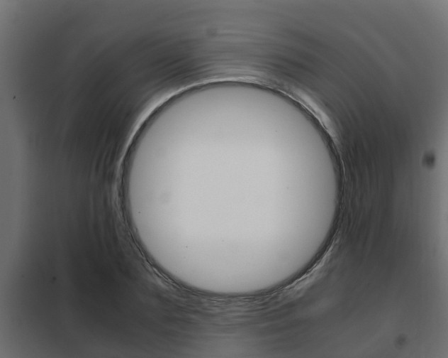 X0000102470883200808081007