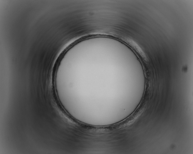X0000102470884200808081007