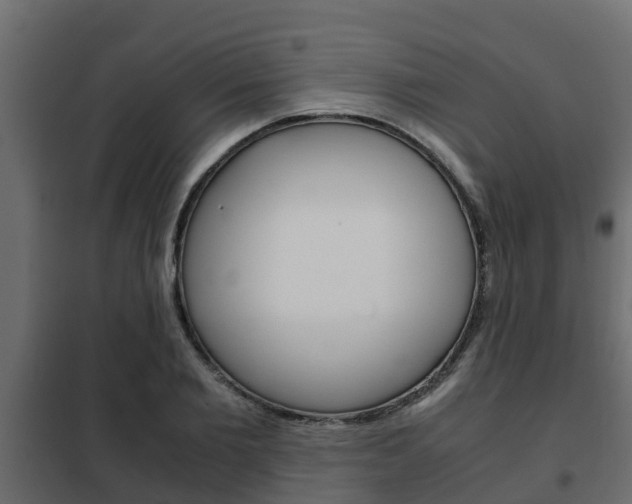X0000102470885200808081007