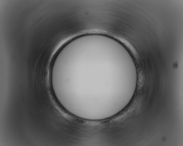 X0000102470886200808081007