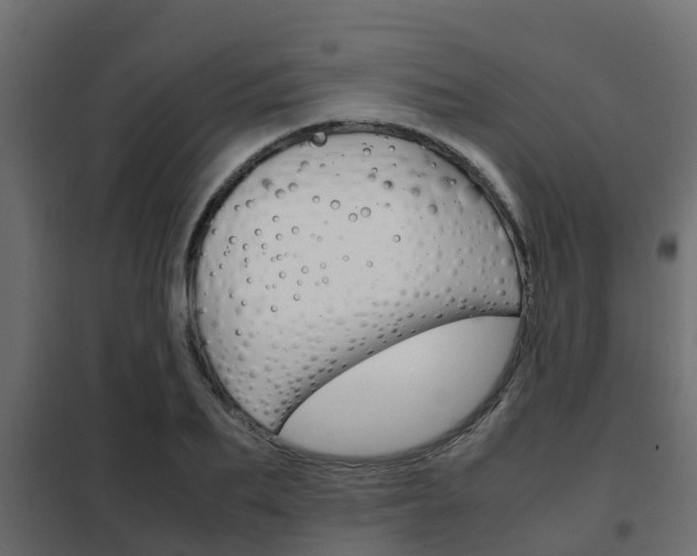 X0000102470887200808081007