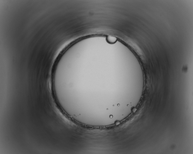 X0000102470888200808081007