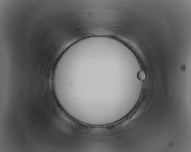 X0000102470889200808081007