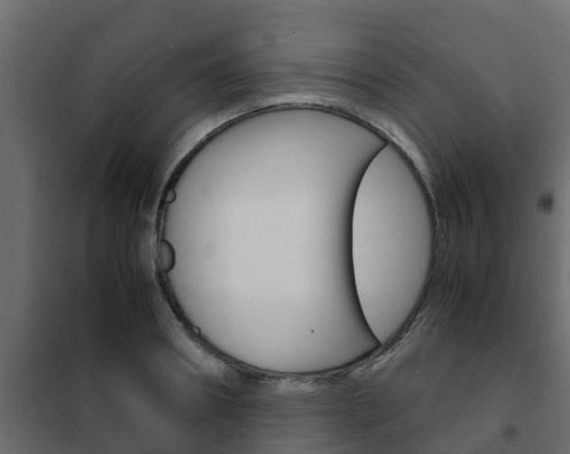 X0000102470890200808081007