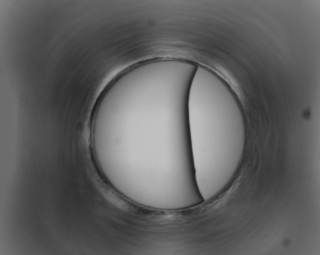 X0000102470891200808081007