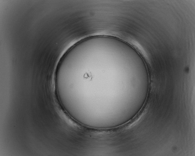 X0000102470892200808081007