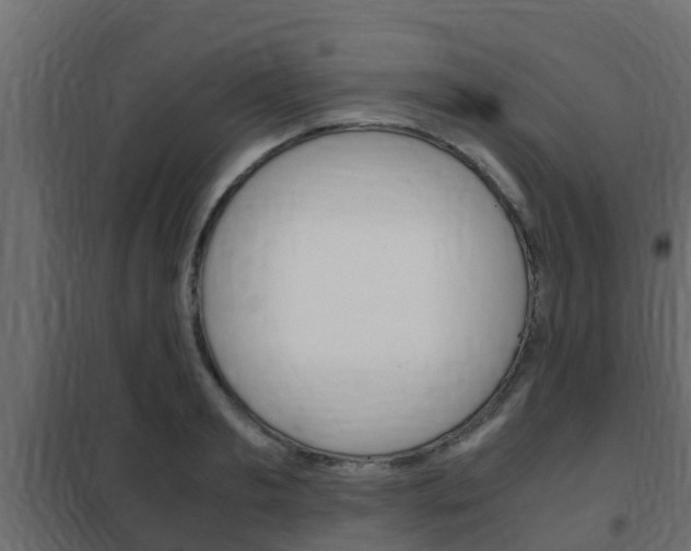 X0000102470893200808081007